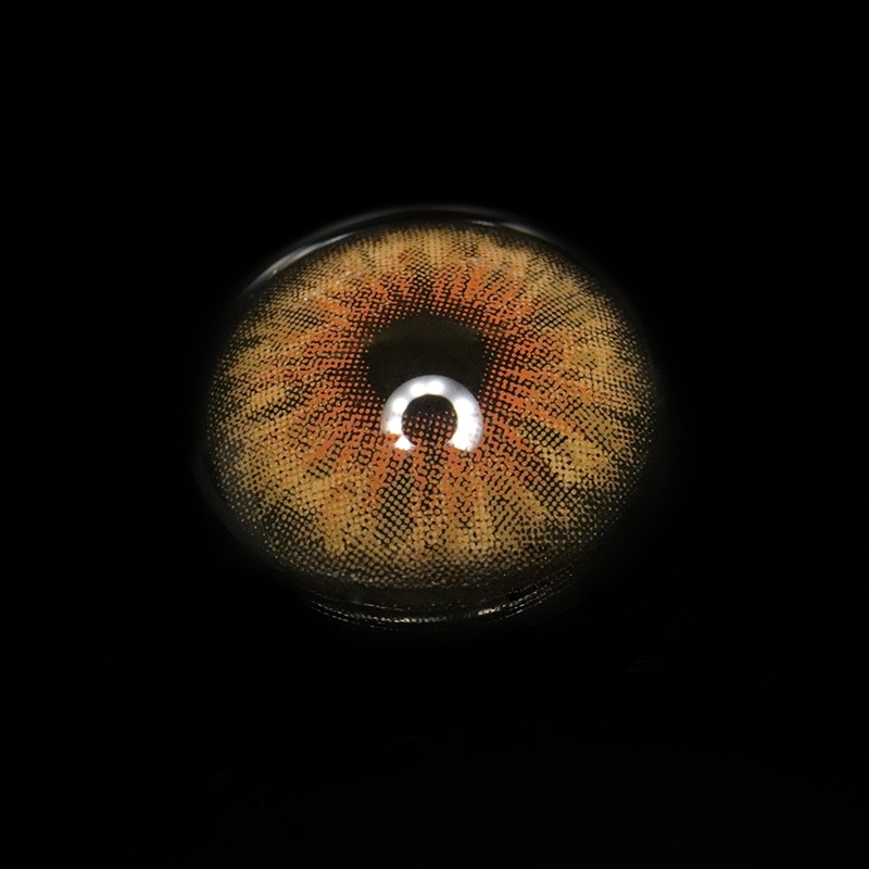 Uniieye Cleopatra Hazel Colored Contact Lenses | 1 Year